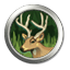 Deer.png